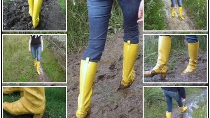 Muddy Walk in Yellow Wellies