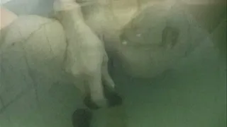 UNDERWATER DILDO PLAY IN THE BATH TUB