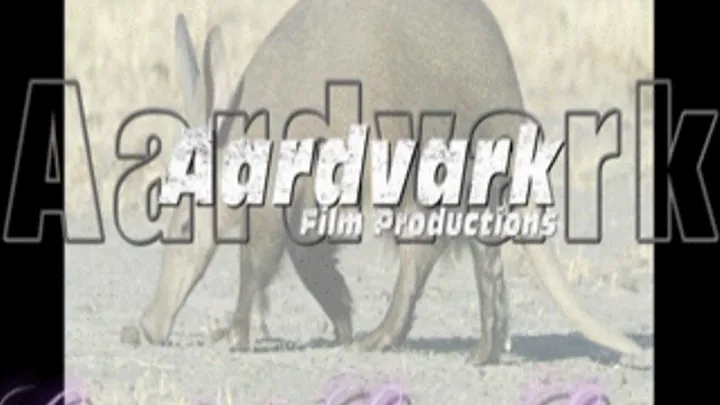 Aardvark 016 High Heel Scub.