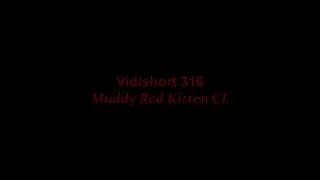 Muddy Red CL Kitten Heel