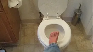 Stare at my Toilet while you pay Fucko!