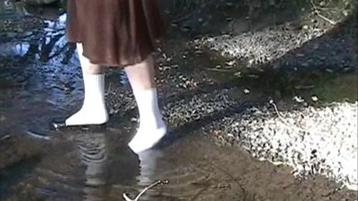 Wet gold top sox, penny loafers & high heels