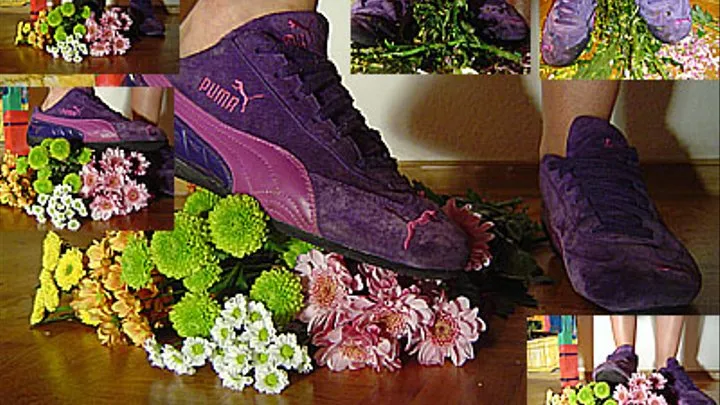 Crush flowers in purple pumas