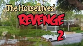 THE HOUSEWIVES' REVENGE 2 4