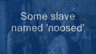 Some slave named 'noosed'