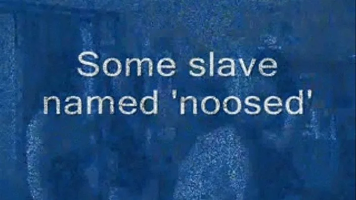 Some slave named 'noosed' - format