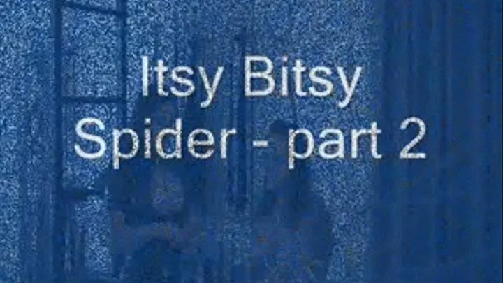 Itsy Bitsy Spider - Part 2