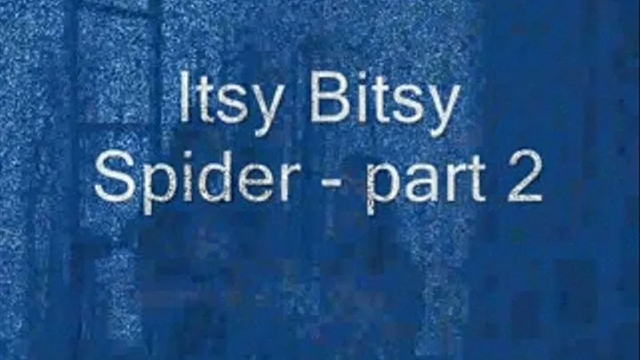 Itsy Bitsy Spider - Part 2 - format