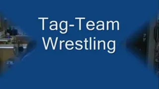 Tag Team Wrestling - Format