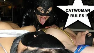 Catwoman Captures Bandits - Format