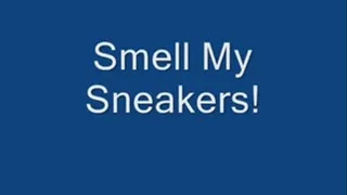 Smell My Sneakers - format