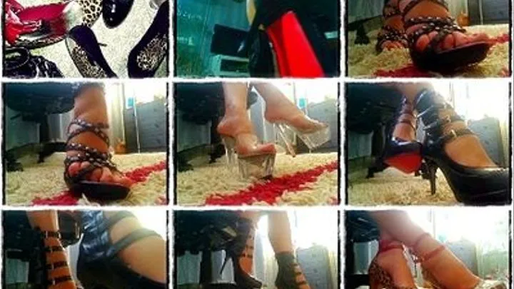 Heels Shoe worship