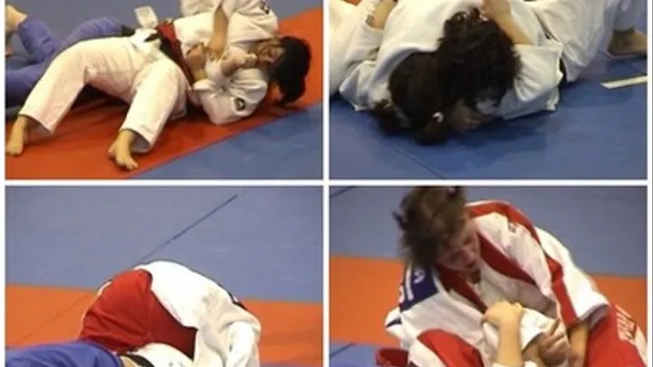 Tape15clip4 ( 2 hold downs,1 inmobilization, 1 lifting down, 1 mune-gatame)