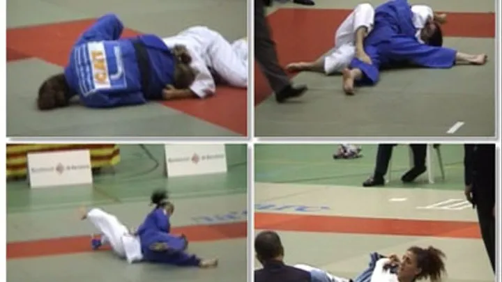 Tape4 Clip4 ( 1 reverse juji-gatame, 2 hold downs