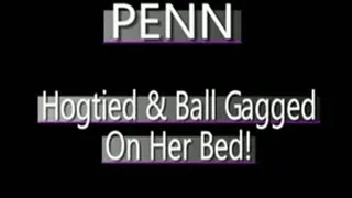 Penn Is Hogtied And Ball Gagged On Her Bed!! - (320 X 240 in size)