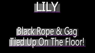 Lily Bound On The Floor! - (320 X 240 in size)