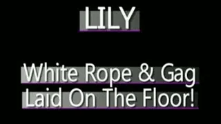 Lily Gets Bound On Floor! - (320 X 240 in size)