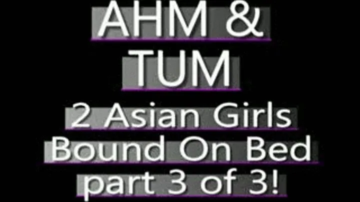 Ahm And Tum Bound On The Bed! (PART 3 of 3) - AVI VERSION