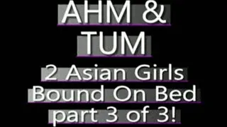 Ahm And Tum Bound On The Bed! (PART 3 of 3) - AVI VERSION