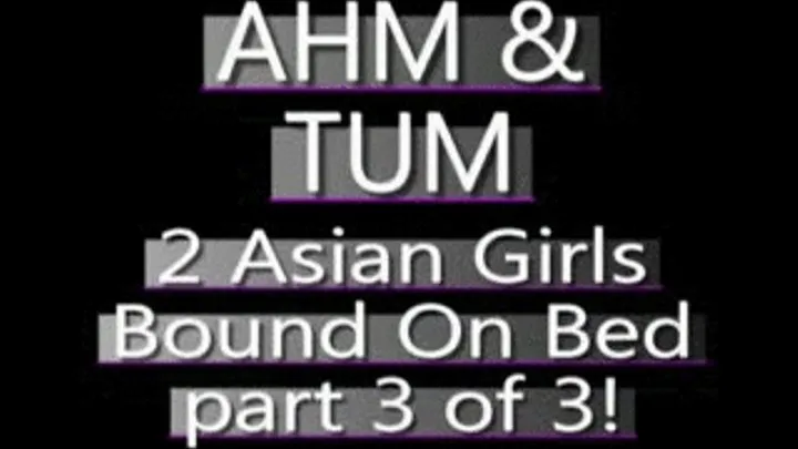 Ahm And Tum Bound On The Bed! (PART 3 of 3) - (480 X 320 SIZED)