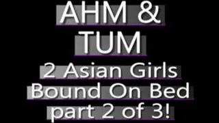 Ahm And Tum Bound On The Bed! (PART 2 of 3) - (480 X 320 SIZED)