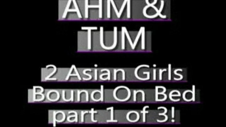 Ahm And Tum Bound On The Bed! (PART 1 of 3) - WMV CLIP - FULL SIZED