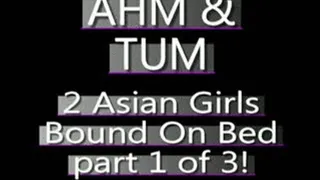 Ahm And Tum Bound On The Bed! (PART 1 of 3) - AVI VERSION