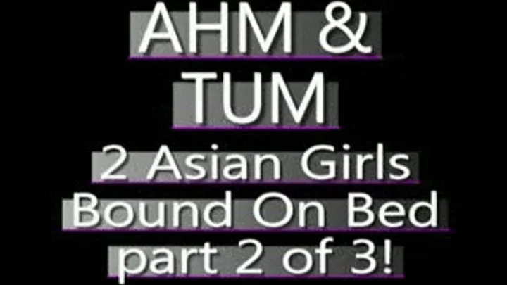 Ahm And Tum Bound On The Bed! (PART 2 of 3) - AVI VERSION