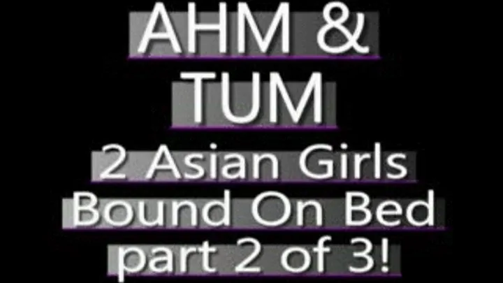 Ahm And Tum Bound On The Bed! (PART 2 of 3) - WMV CLIP - FULL SIZED