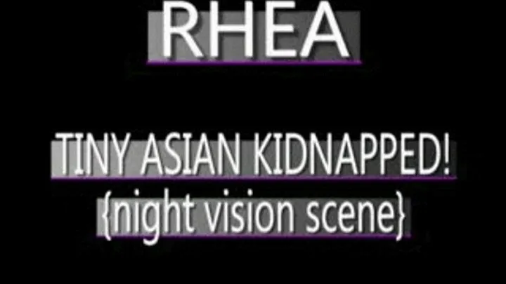 Busty Asian Rhea Taken & Harrassed! - WMV FULL SIZED VERSION ( in size)