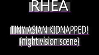 Busty Asian Rhea Taken & Harrassed! - (320 X 240 SIZED)