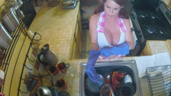 POV DISH WASHER