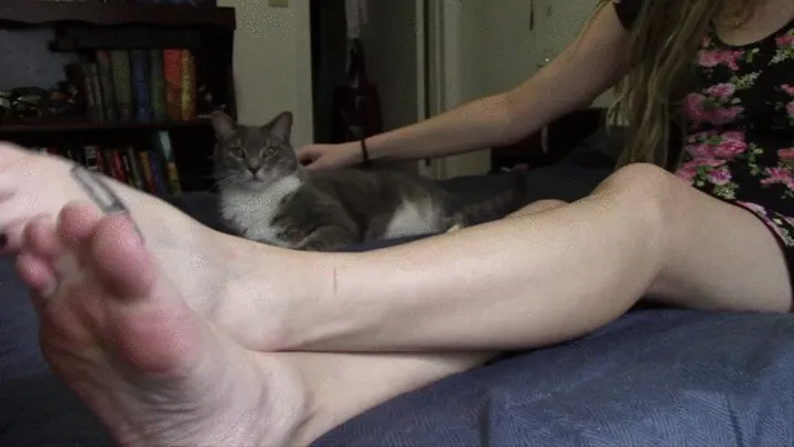 Mira's Feet and the Cat