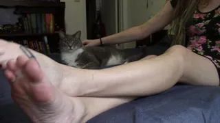 Mira's Feet and the Cat