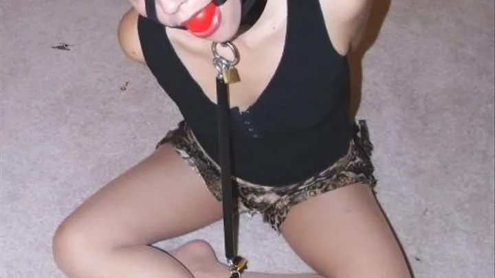 Collared, Harness Ball-Gagged and Helpless