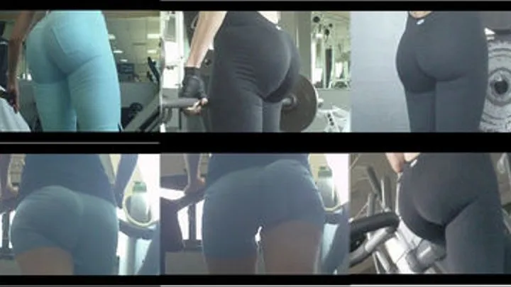 FITNESS BUTTS 88