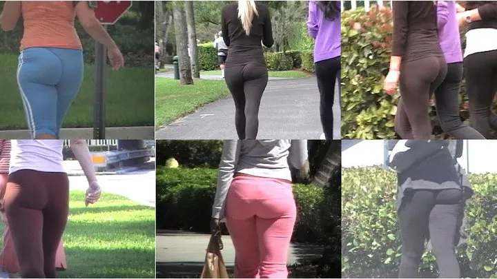 FITNESS BUTTS 24