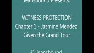 Jasmine Mendez - Witness Protection - Chapter 1