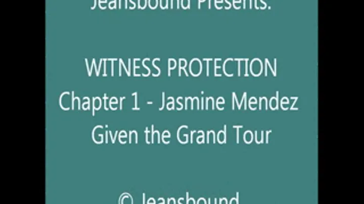 Jasmine Mendez - Witness Protection - Chapter 1 - SQ