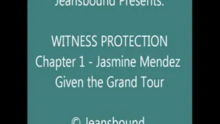 Jasmine Mendez - Witness Protection - Chapter 1 - SQ