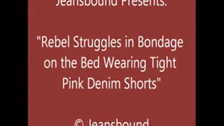 Rebel Balltied in Pink Denim Shorts