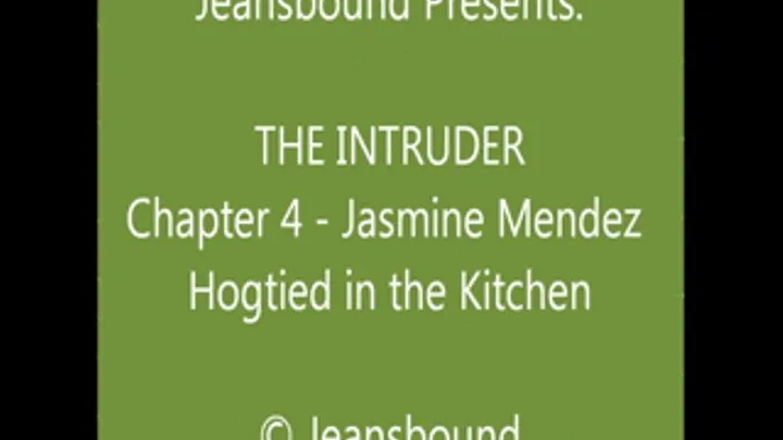 vs. the Intruder - Chapter 4