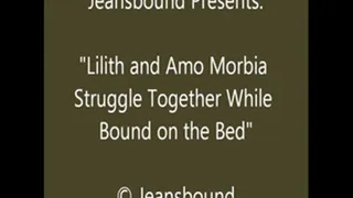 Amo and Lilith Bound on the Bed