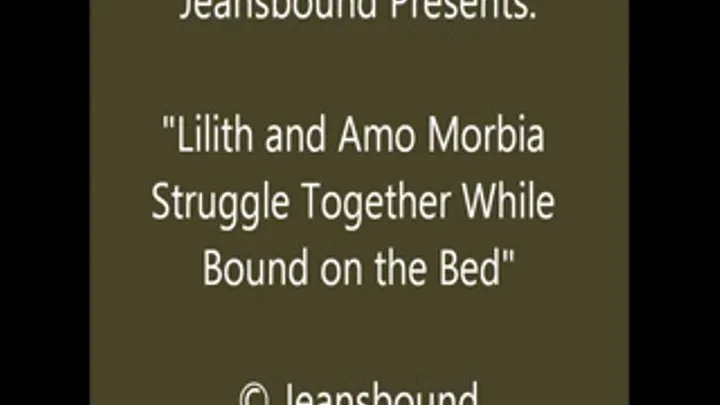 Amo and Lilith Bound on the Bed - SQ