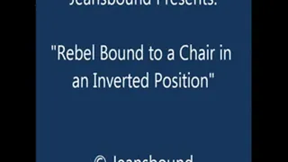 Rebel Bound on the Chair - SQ