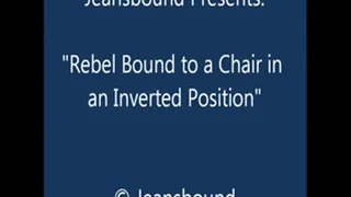 Rebel Bound on the Chair