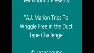 AJ Marion Duct Taped