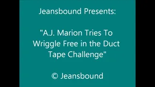 AJ Marion Duct Taped