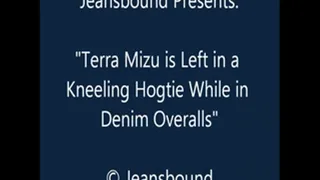 Terra Mizu Kneeling Hogtie in Overalls - SQ