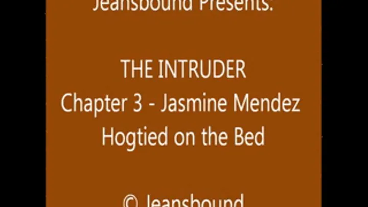 Jasmine Mendez vs. the Intruder - Chapter 3 - SQ